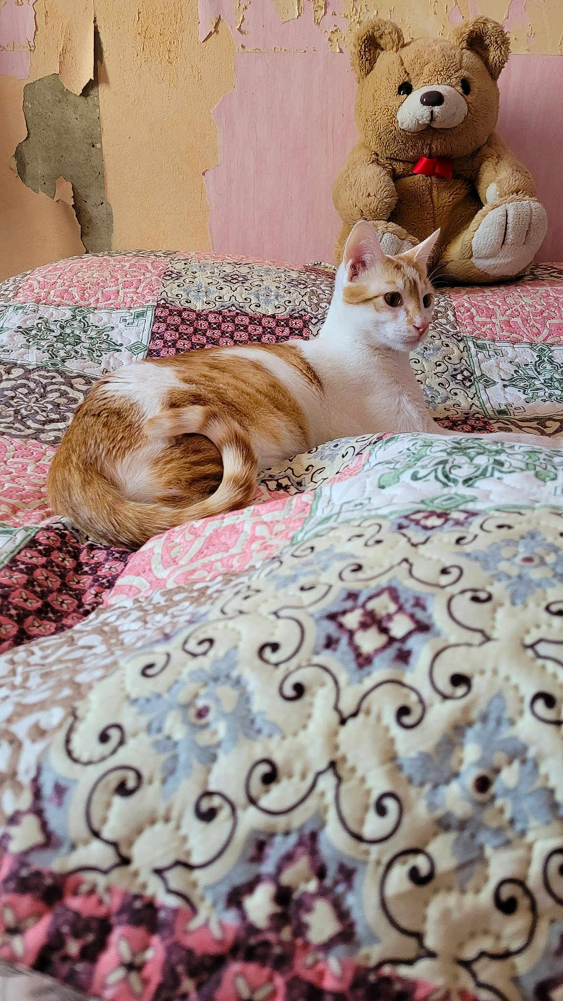 Loki