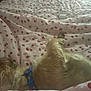 animal, bed, blanket, blue_collar, collar, cozy, cute, dog, fabric, fur, indoor, lying_down, pet, pizza_pattern, relaxation, resting, sleeping, small_dog, soft_texture, strawberry_pattern