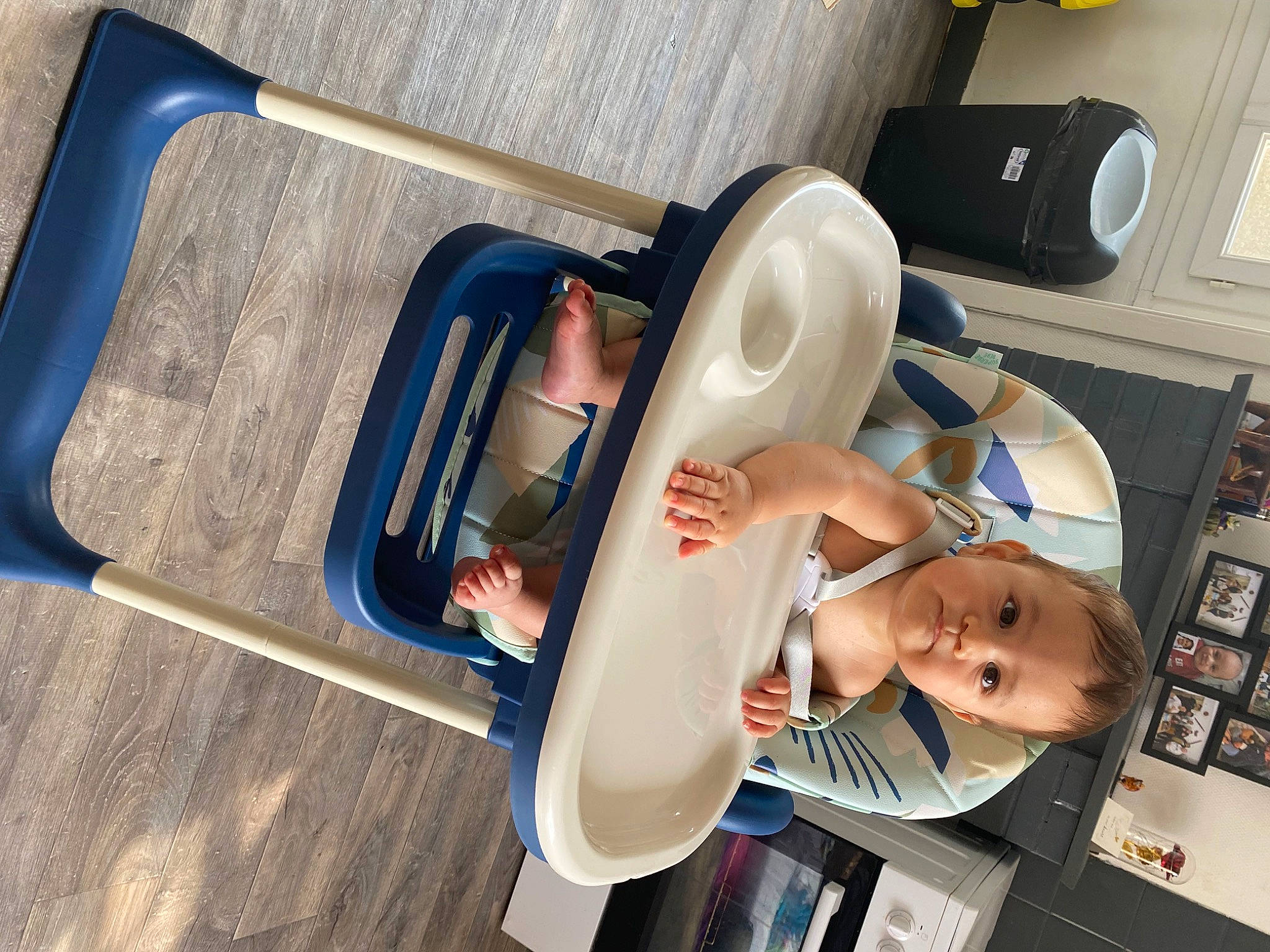 Wyatt participe au concours pour gagner de l'argent avec cette photo : automotive_design, baby, comfort, eyewear, fun, hat, home_appliance, machine, person, plastic, room, service, toddler, wood