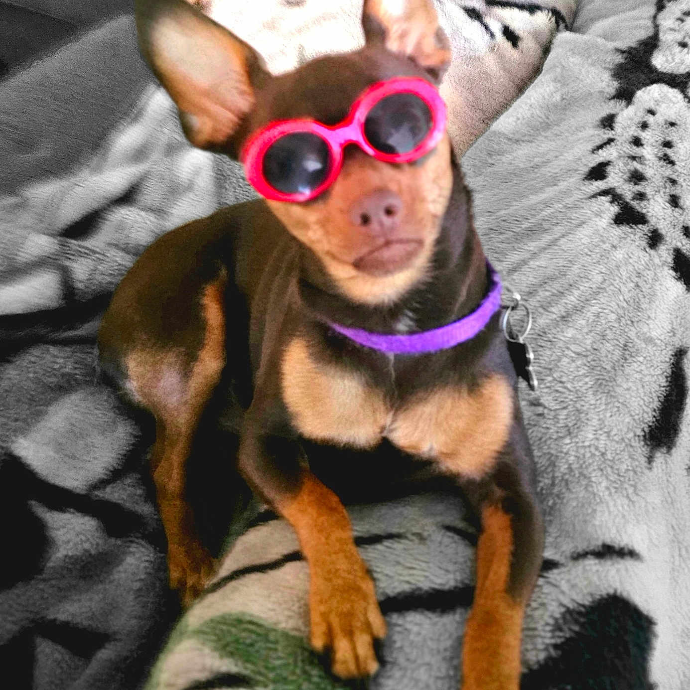 Bella