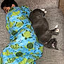 Shadow joined the competition — help win amazing prizes! child, blanket, cat, gray_cat, sleeping, couch, indoor, cozy, turtle_pattern, nap, pet, fur, relaxation, comfort, domestic, animal, young, resting, home, furniture