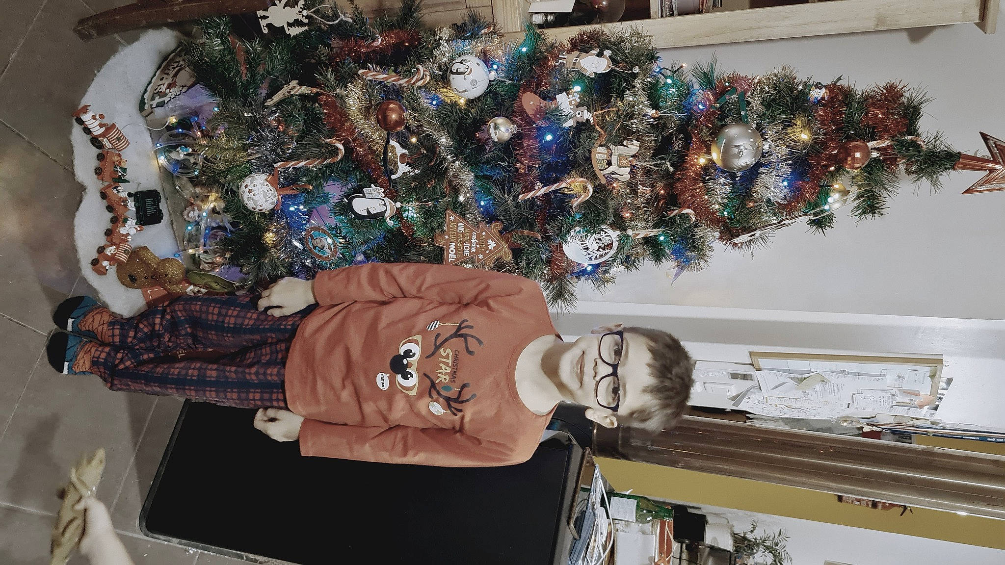 Ivann a rejoint le concours — aidez-le/la à gagner de superbes lots ! christmas, christmas_decoration, christmas_eve, christmas_ornament, christmas_tree, collection, conifer, event, holiday, holiday_ornament, interior_design, joy, ornament, person, plant, room, textile, tree, white, winter