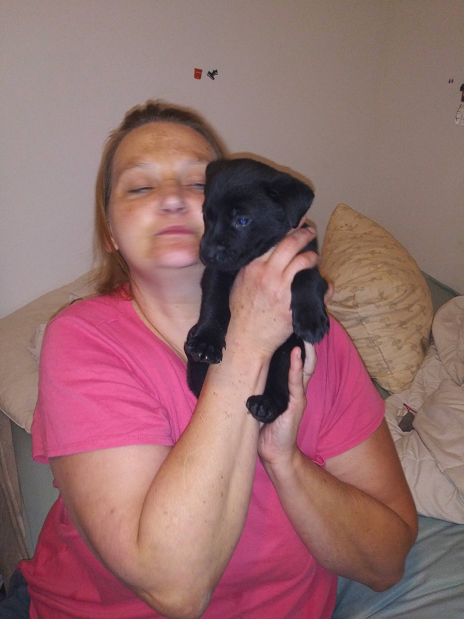 Dexter joined the competition — help win amazing prizes! camera, cameras_optics, carnivore, comfort, companion_dog, dog, dog_breed, ear, elbow, event, fawn, fur, gesture, long_hair, magenta, shoulder, sporting_group, t_shirt, toy_dog, working_animal