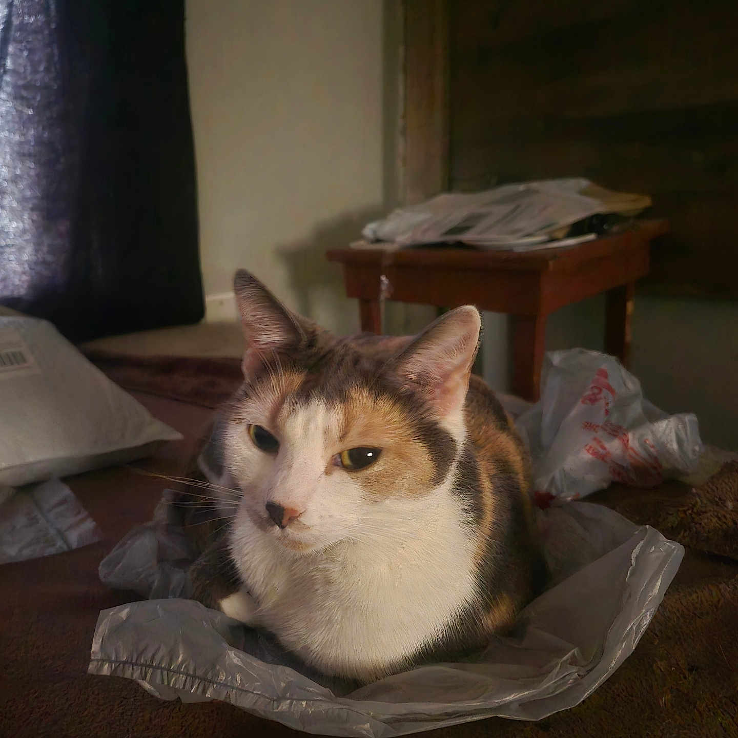 Minnie