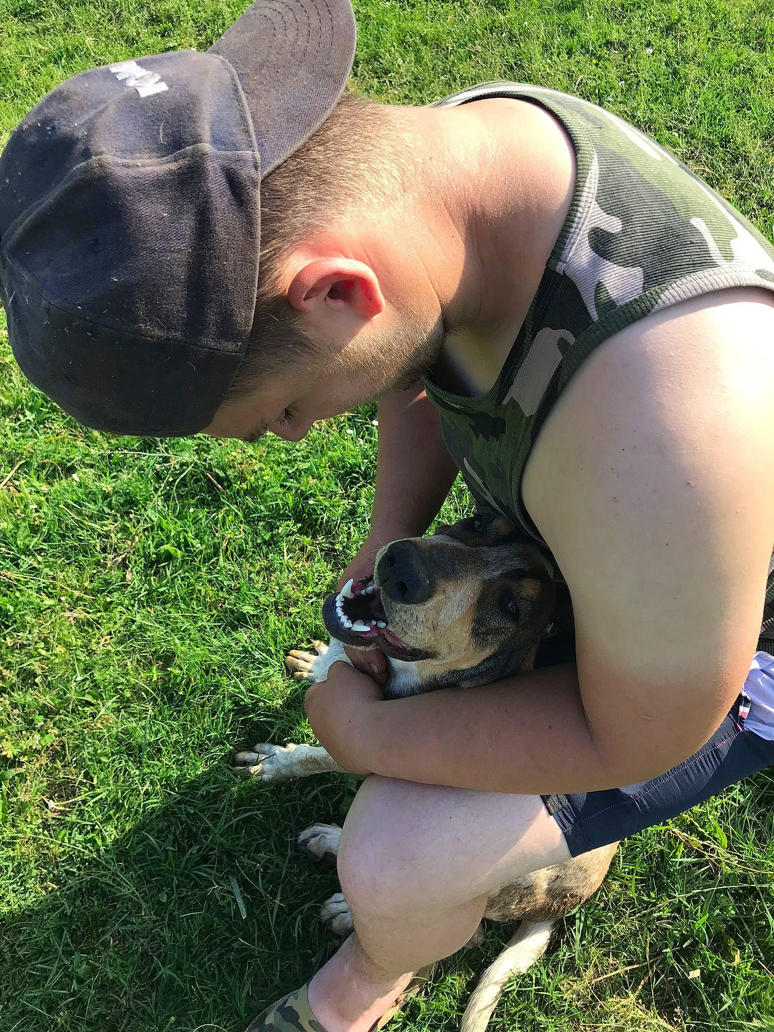 Orane participe au concours pour gagner de l'argent avec cette photo : american_staffordshire_terrier, boston_terrier, canidae, grass, non_sporting_group, plant, pointer, sporting_group