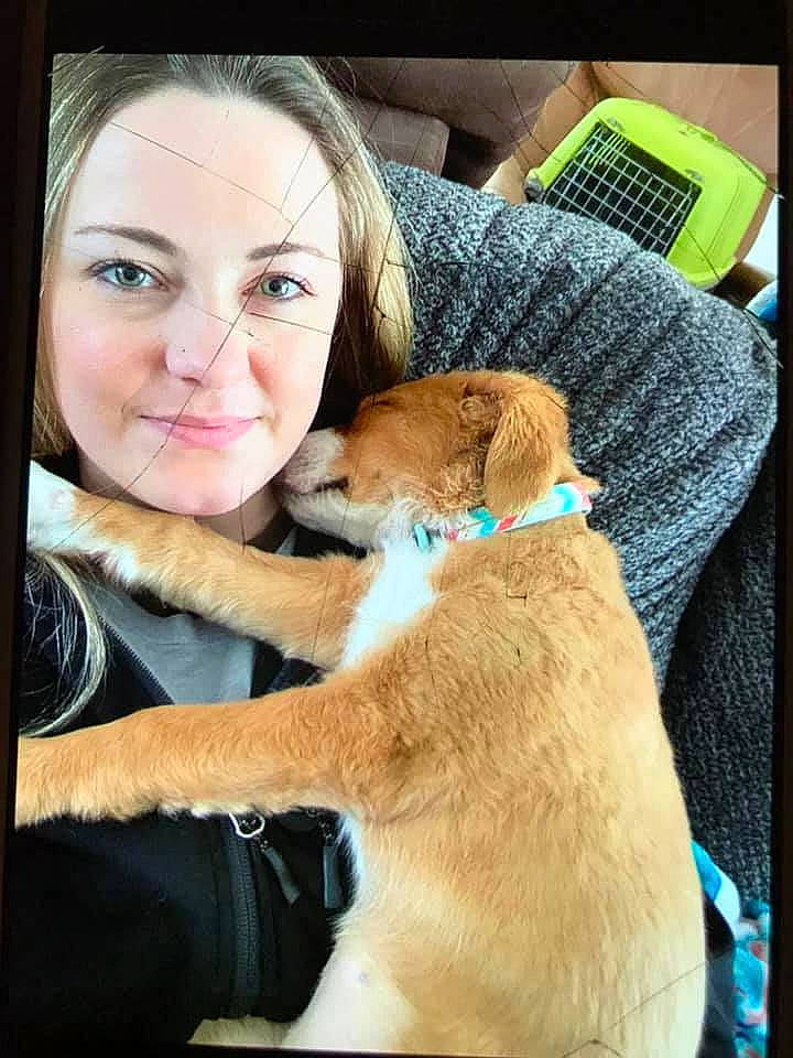 Khaleesi joined the competition — help win amazing prizes! canidae, carnivore, child, collar, comfort, companion_dog, dog, dog_breed, ear, fawn, fun, fur, gesture, happy, sitting, smile, snout, sporting_group, toy, whiskers