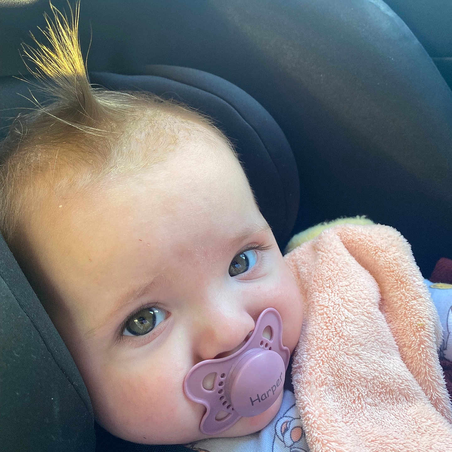 Chippy joined the competition — help win amazing prizes! baby, infant, pacifier, blanket, car_seat, child, face, hair, close_up, curious, cute, seat_belt, indoors, soft_texture, pink, skin, young_child, expression, portrait, comfort