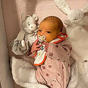 Romane participe au concours pour gagner de l'argent avec cette photo : newborn, baby, pacifier, onesie, pink_clothing, stuffed_animal, hippo_toy, bunny_toy, blanket, crib, sleeping_area, infant, cozy, soft, cute, child, baby_bib, hand, face, portrait