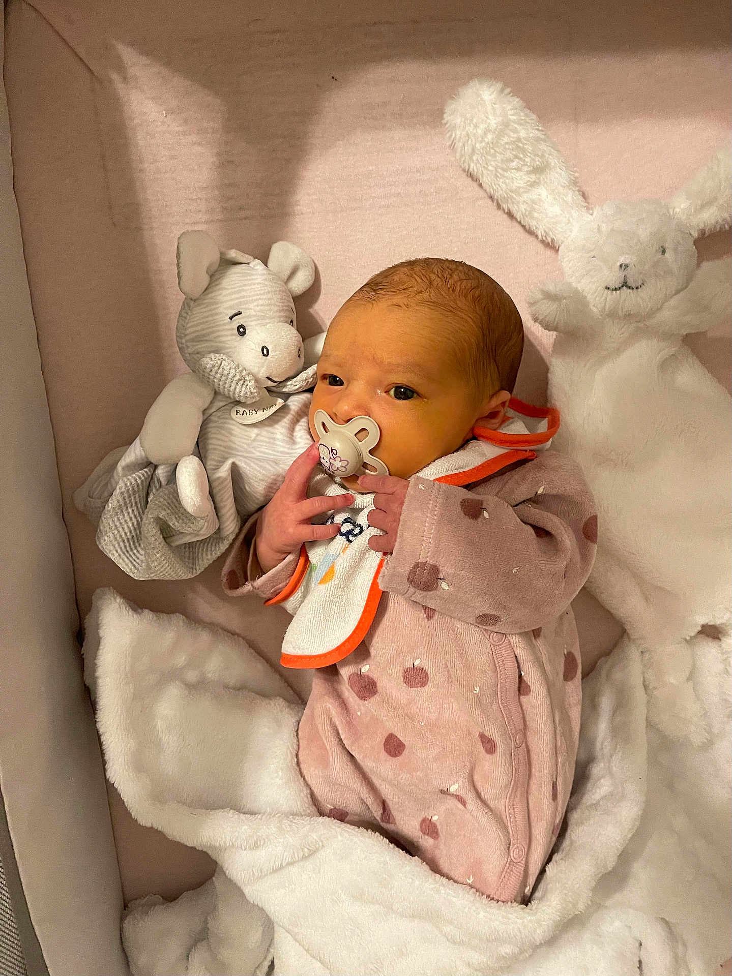 Romane participe au concours pour gagner de l'argent avec cette photo : newborn, baby, pacifier, onesie, pink_clothing, stuffed_animal, hippo_toy, bunny_toy, blanket, crib, sleeping_area, infant, cozy, soft, cute, child, baby_bib, hand, face, portrait