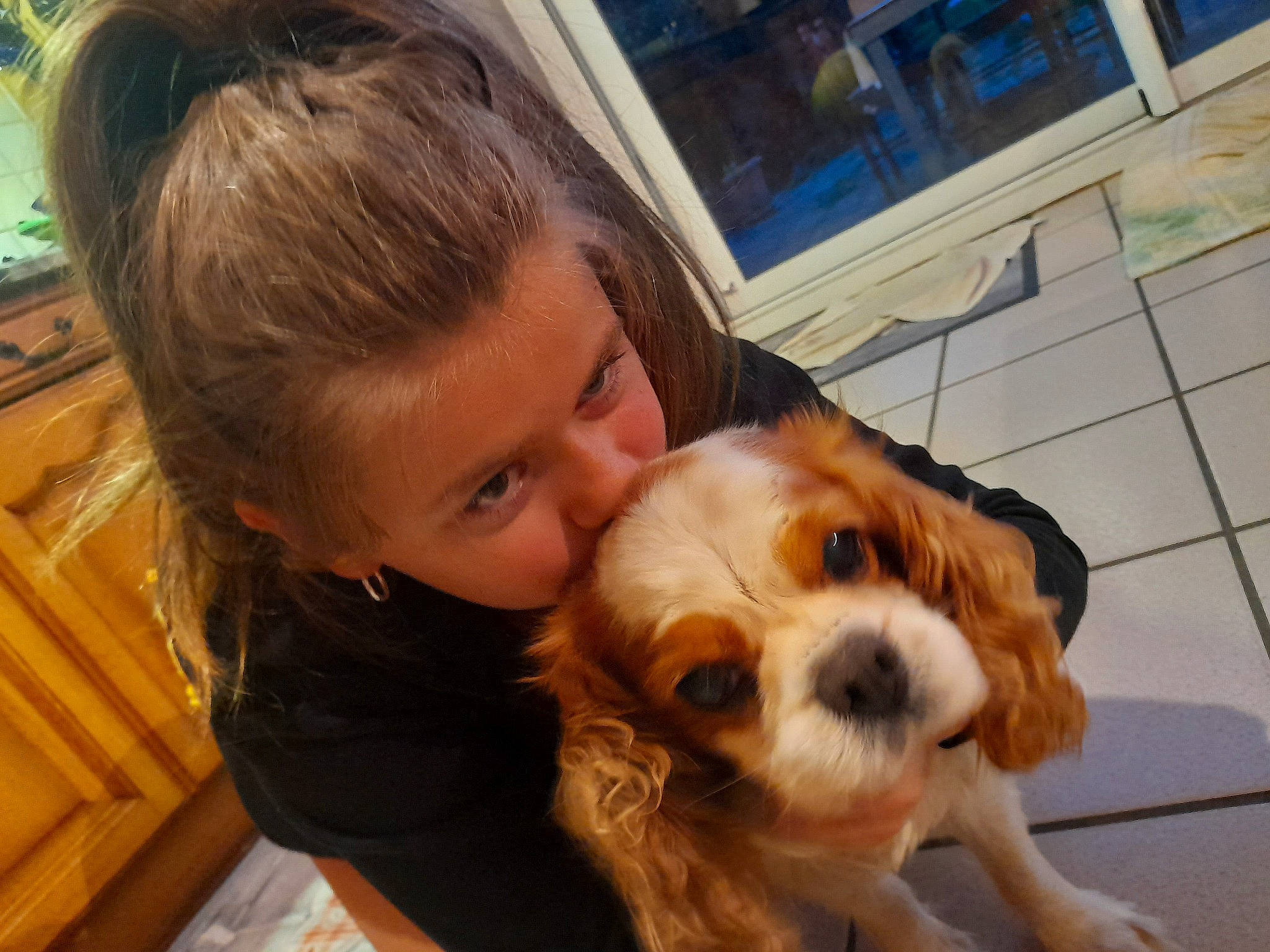 Léna participe au concours pour gagner de l'argent avec cette photo : brown_hair, carnivore, companion_dog, dog, dog_breed, ear, eyewear, fawn, glasses, goggles, happy, nose, person, smile, snout, spaniel, surfer_hair, toy_dog, vision_care, whiskers