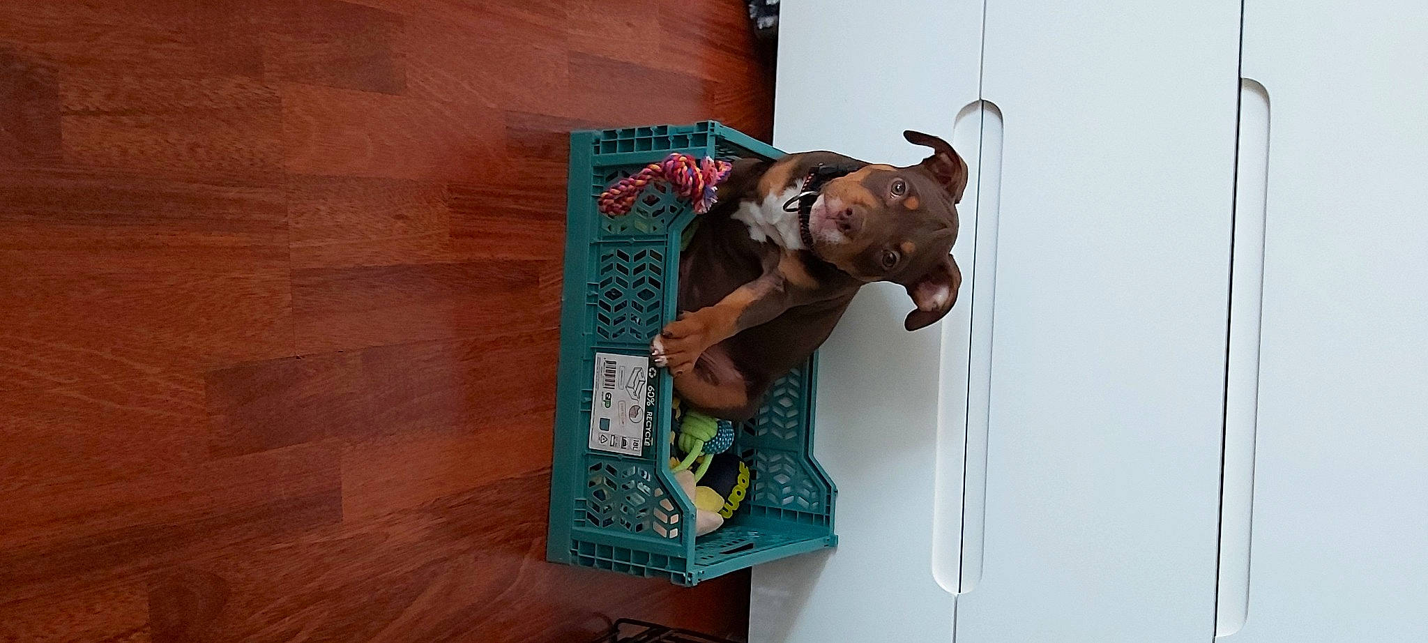 Sherkan participe au concours pour gagner de l'argent avec cette photo : advertising, art, artist, flooring, font, hardwood, room, visual_arts, wood