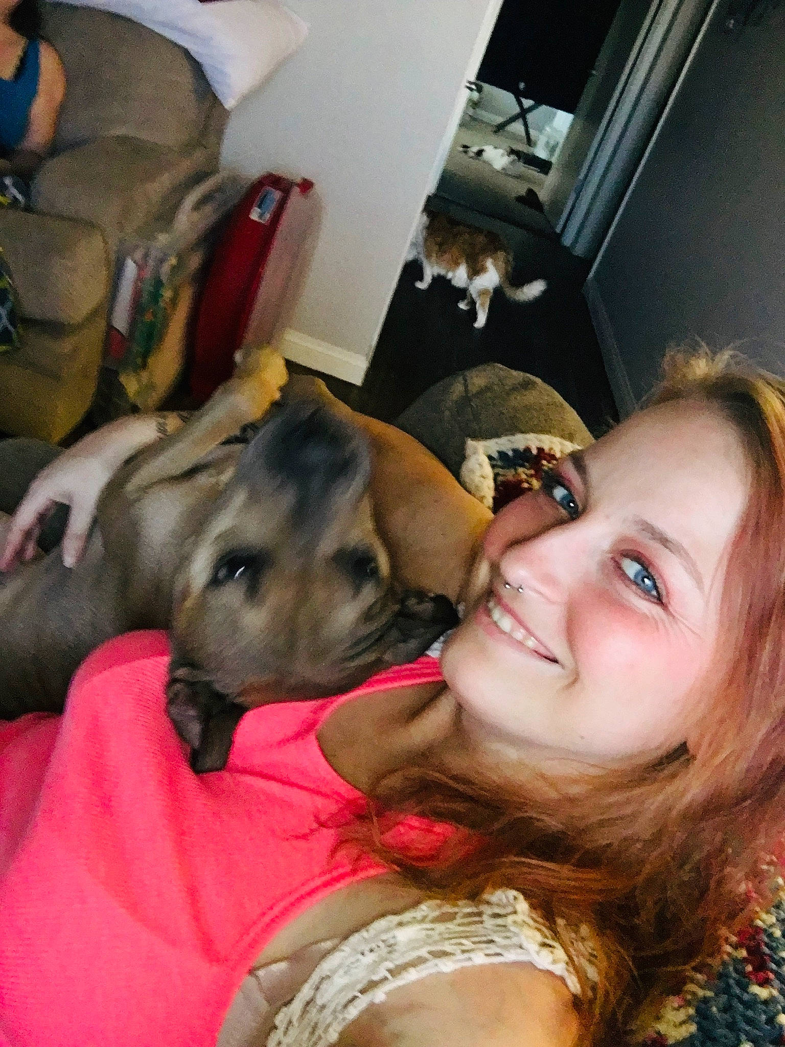 Athena joined the competition — help win amazing prizes! canidae, carnivore, companion_dog, dog, dog_breed, ear, event, fawn, flash_photography, fun, fur, guard_dog, happy, jaw, jewellery, selfie, smile, sporting_group, whiskers, working_animal