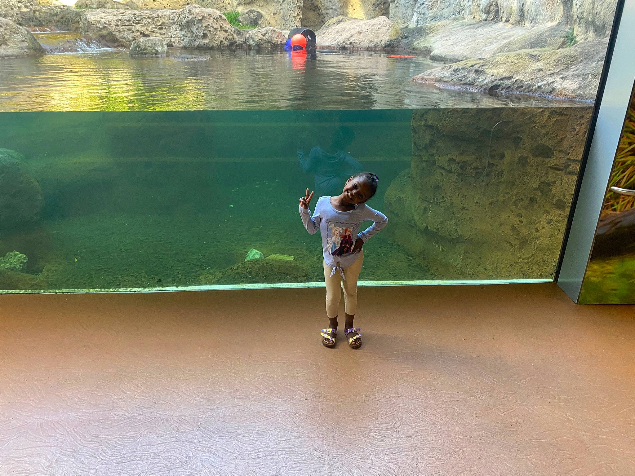 Angel is registered to the contest to win money with this photo: aquarium, body_of_water, fish, fun, grass, joy, lake, landscape, leisure, person, plant, recreation, reservoir, tourism, travel, tree, vacation, vertebrate, water