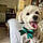 Dixie