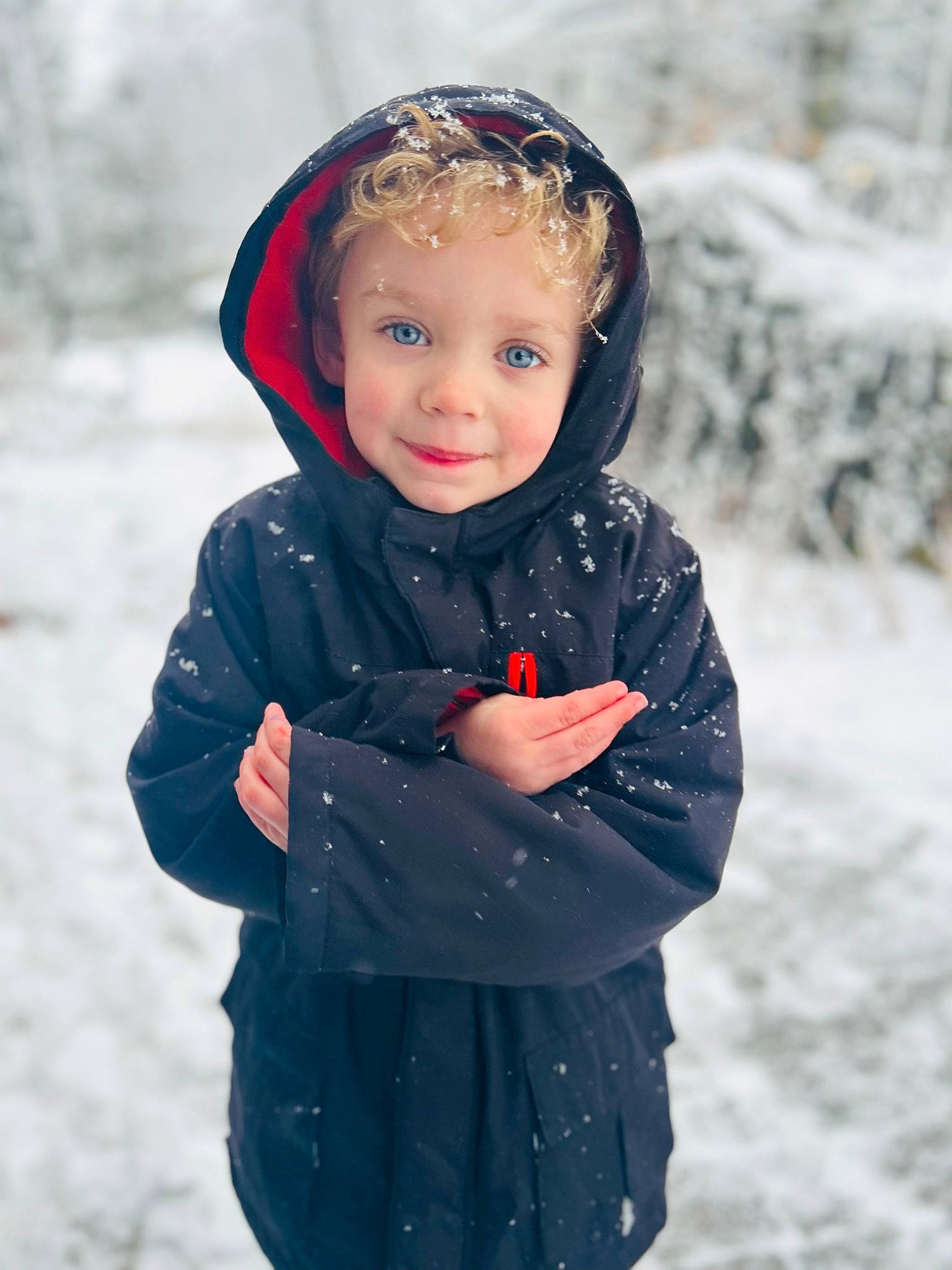 Leonardo joined the competition — help win amazing prizes! baby_toddler_clothing, electric_blue, eye, face, flash_photography, freezing, glove, happy, head, hood, human_body, jacket, joy, parka, people_in_nature, person, recreation, sleeve, smile, snow