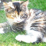 Maisie is registered to the contest to win money with this photo:
