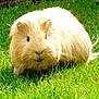 Bailey joined the competition — help win amazing prizes!