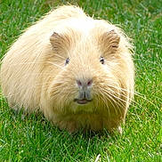 Bailey is registered to the contest to win money with this photo: