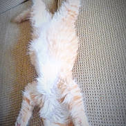 Jasper is registered to the contest to win money with this photo: