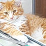 Jasper is registered to the contest to win money with this photo: