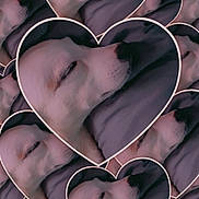 Bella Ann Garrett joined the competition — help win amazing prizes! dog, sleeping, heart_shape, collage, pattern, pet, animal, cute, resting, closeup, fur, nostril, whiskers, snout, face, multiple, soft_lighting, pink_tint, background, texture