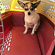 Nellie is registered to the contest to win money with this photo: