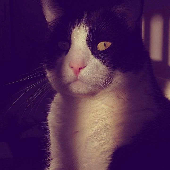 Mikey