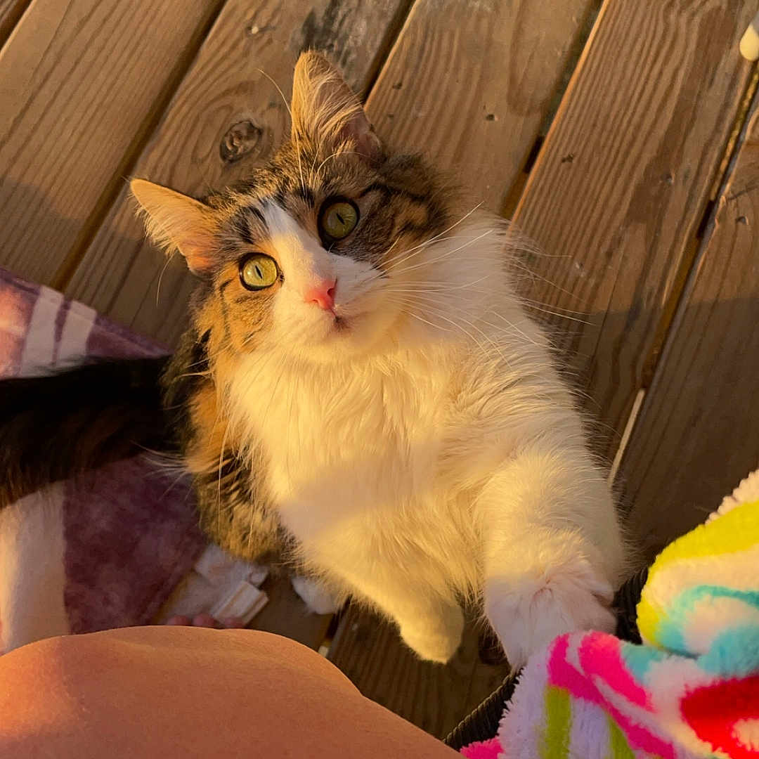 Luna