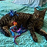 cat, tabby_cat, bed, bedspread, pillow, toy, colorful, animal, pet, indoor, striped, relaxed, curious, feline, cozy, playful, blue, orange, purple, home