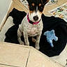 Joyce participe au concours pour gagner de l'argent avec cette photo :