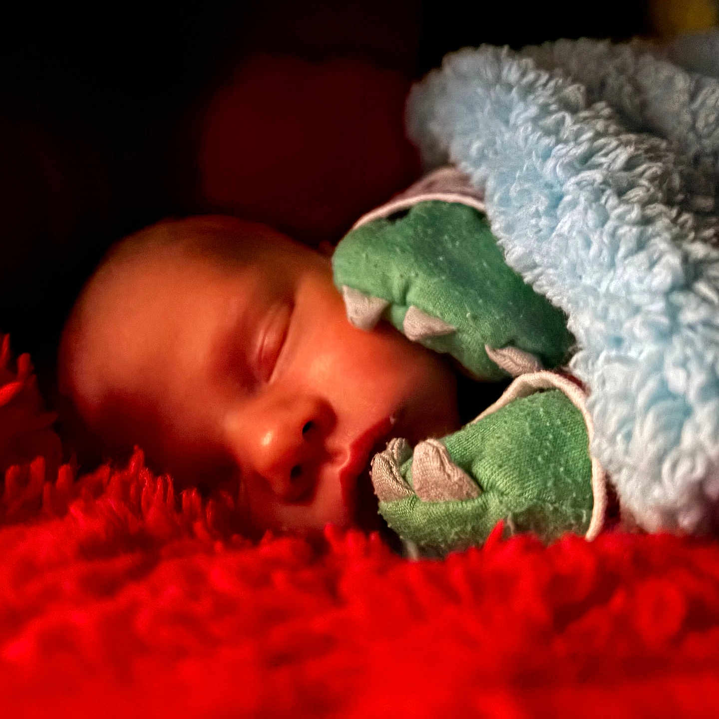 Lukas is registered to the contest to win money with this photo: baby, sleeping, blanket, mittens, green_mittens, blue_blanket, red_fabric, cozy, infant, cute, face, closed_eyes, soft_texture, warm, resting, child, portrait, indoor, comfort, peaceful