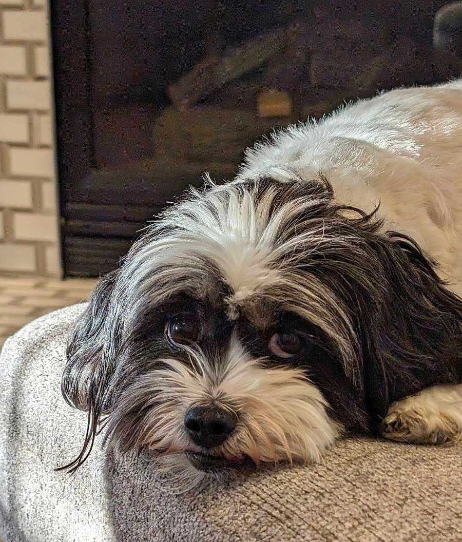 Izzy