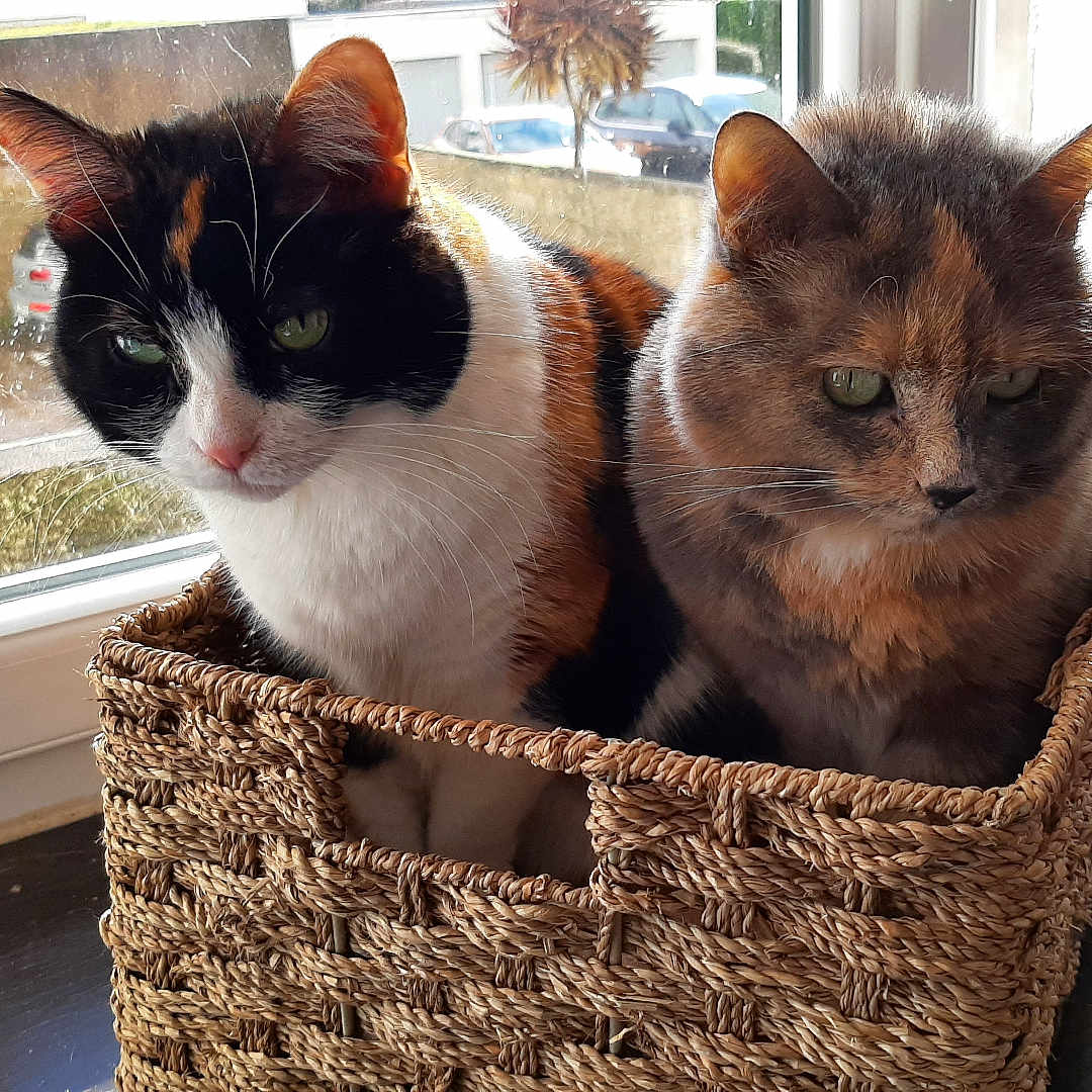 Luna Et Moana