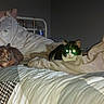bed, blanket, cat, cats, cozy, domestic, feline, fur, glowing_eyes, home, indoor, night, pillow, quilt, resting, sleepy, soft, two_animals, warm, yellow_eyes
