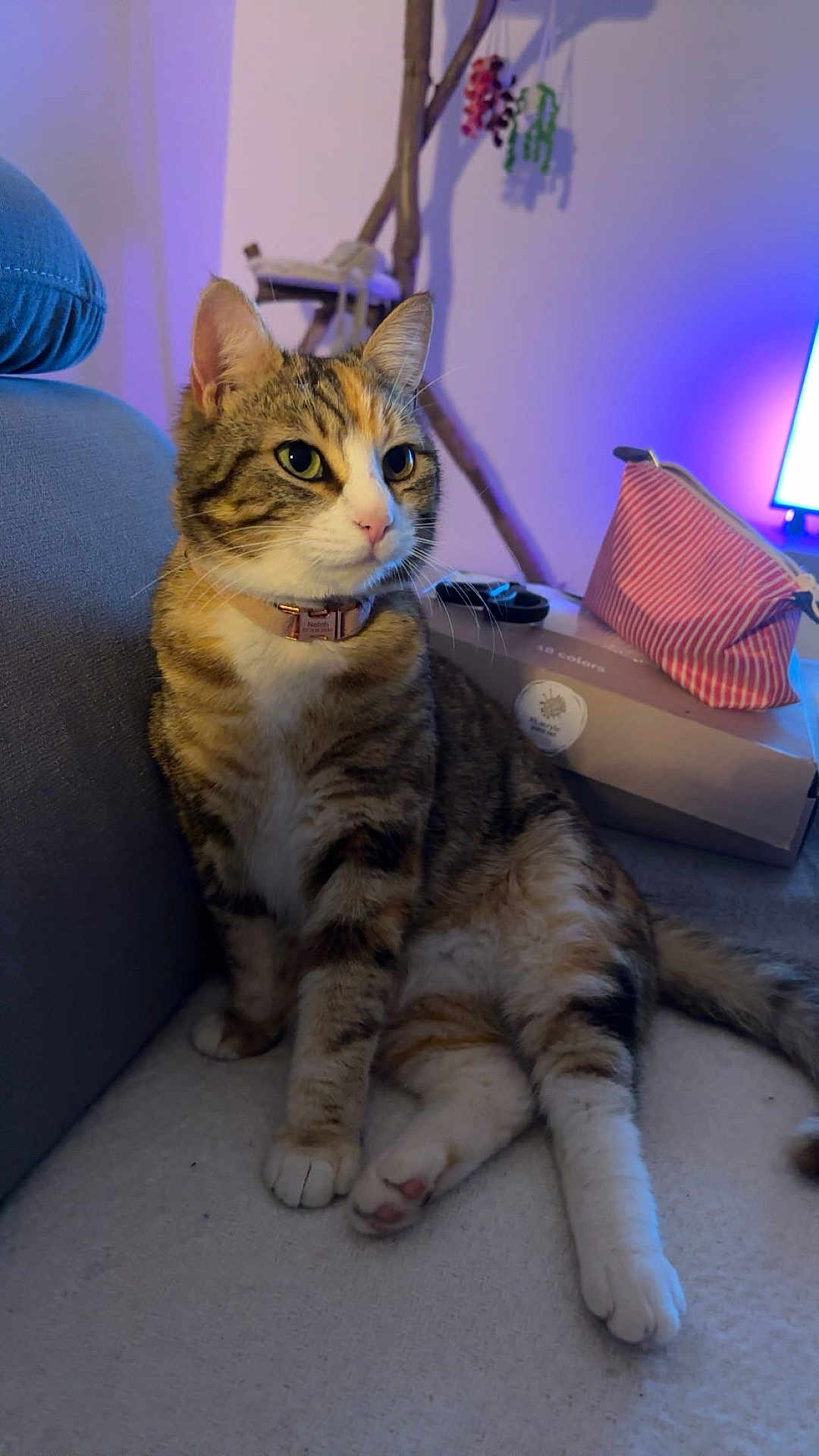 Nalah