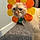 Oliver
