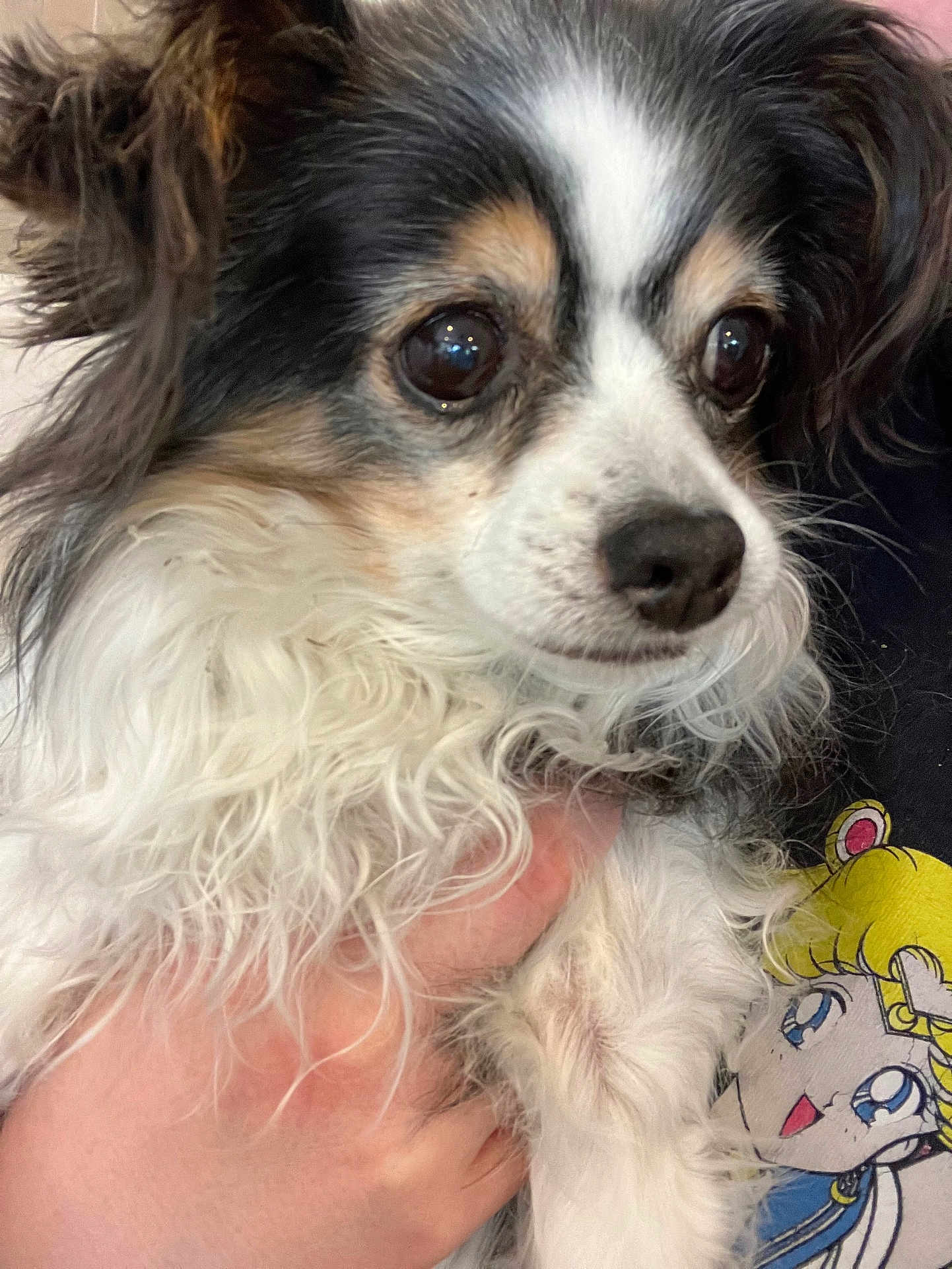 Maggie