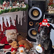 Arko participe au concours pour gagner de l'argent avec cette photo : dog, christmas, holiday, plush_toys, santa_claus, reindeer_toy, gingerbread_man, penguin_toy, snowman_headband, speaker, decorations, blanket, festive, indoor, floor, cute, black_dog, holiday_decor, toy, winter
