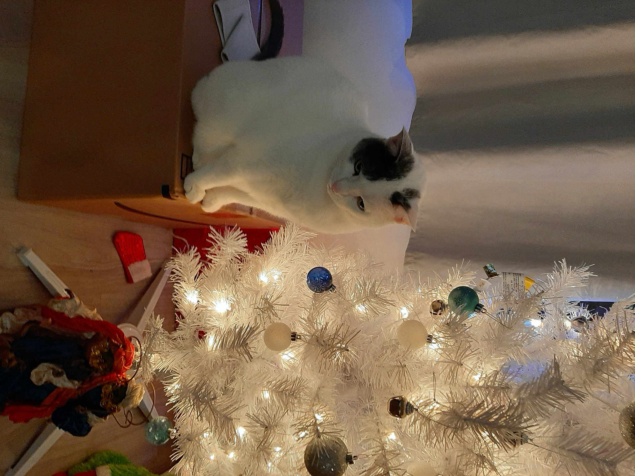 Lili