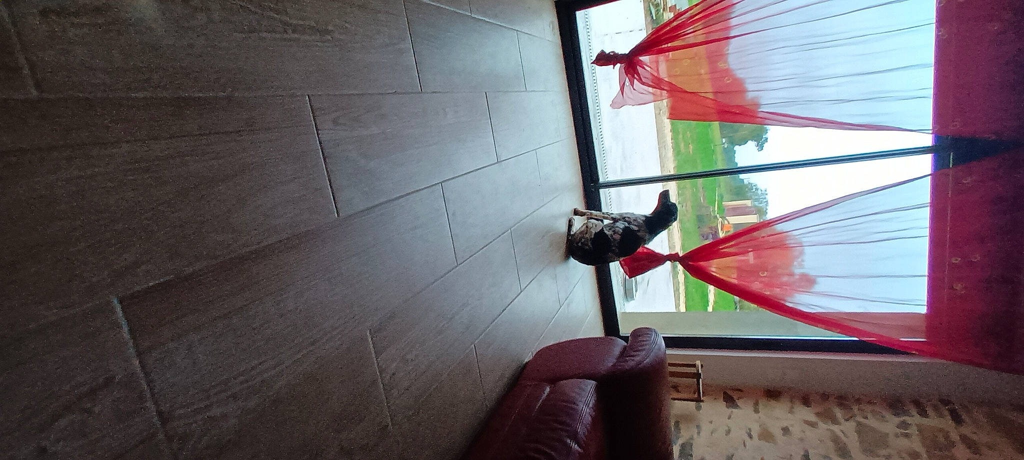 Upton participe au concours pour gagner de l'argent avec cette photo : automotive_wheel_system, carmine, ceiling, daylighting, flooring, glass, hardwood, human_leg, leisure, magenta, metal, plant, room, shadow, tints_and_shades, tree, umbrella, window, wing, wood