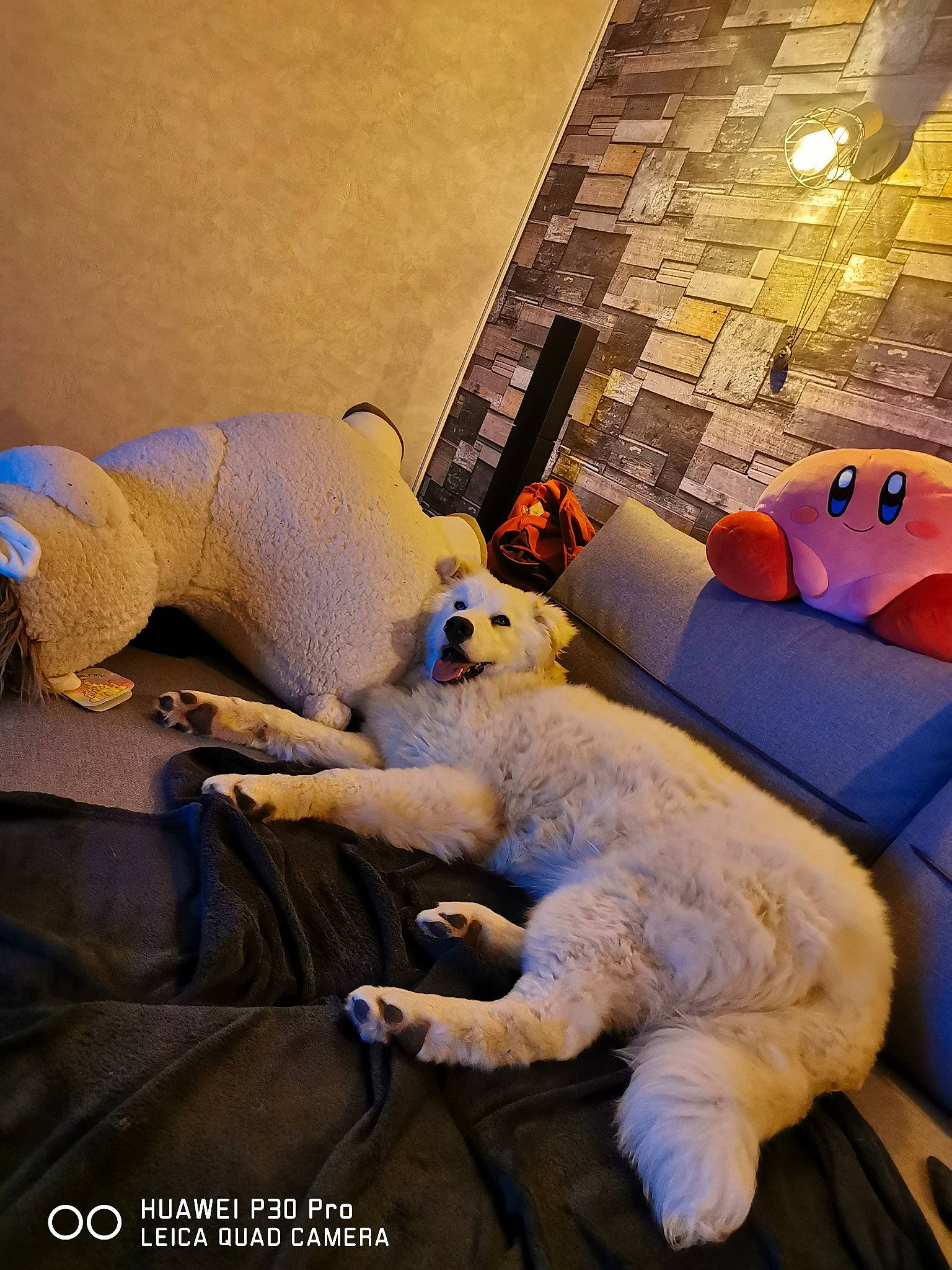 Ragnar a rejoint le concours — aidez-le/la à gagner de superbes lots ! art, bed_sheet, carnivore, comfort, companion_dog, felidae, flooring, fur, lamp, linens, plush, polar_bear, purple, room, small_to_medium_sized_cats, stuffed_toy, tail, teddy_bear, textile, toy