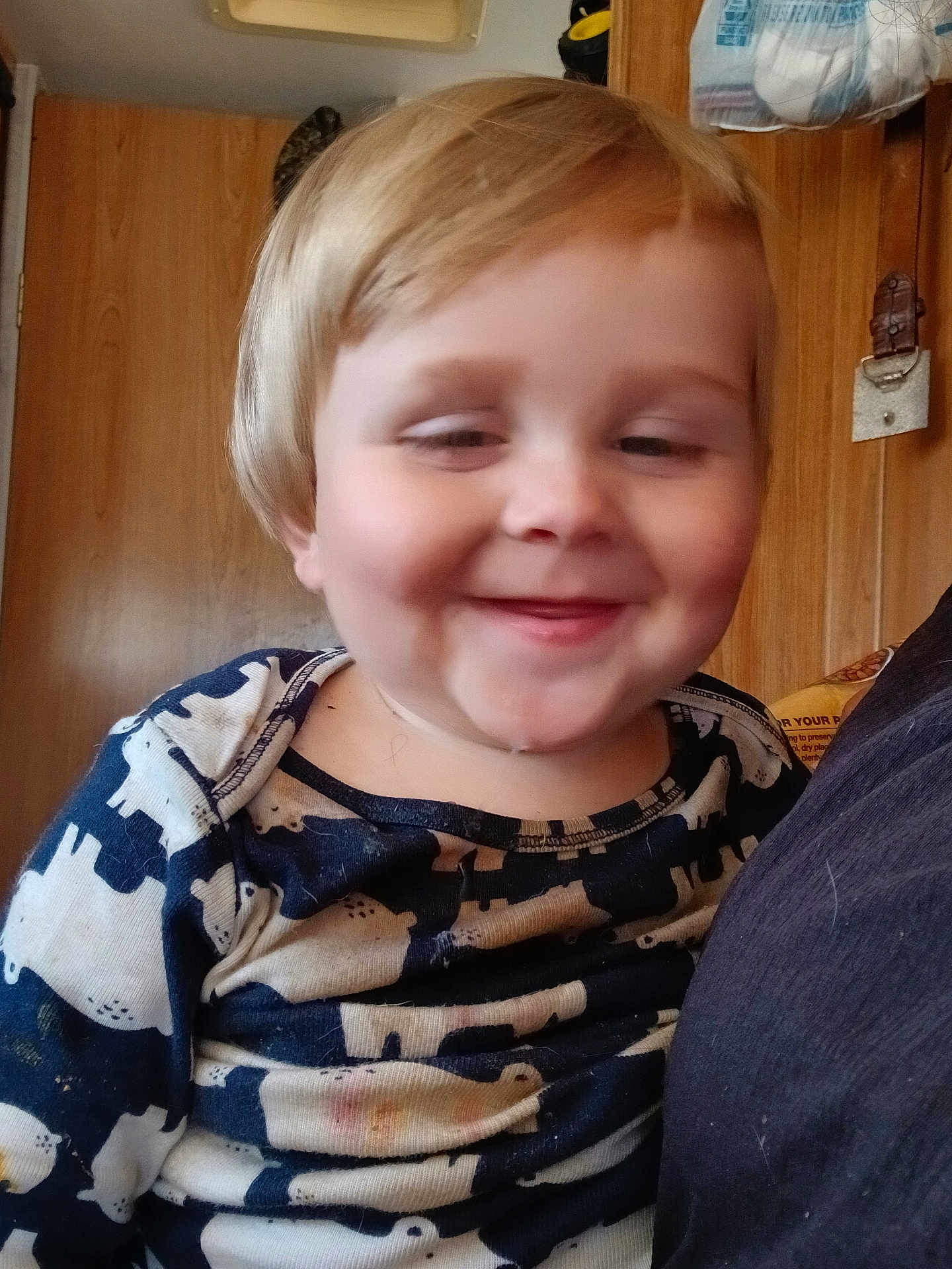 Roman joined the competition — help win amazing prizes! toddler, child, smiling, face, portrait, indoor, clothing, patterned_shirt, hair, person, wooden_door, background, household, happy, closeup, cute, baby, sitting, light, casual