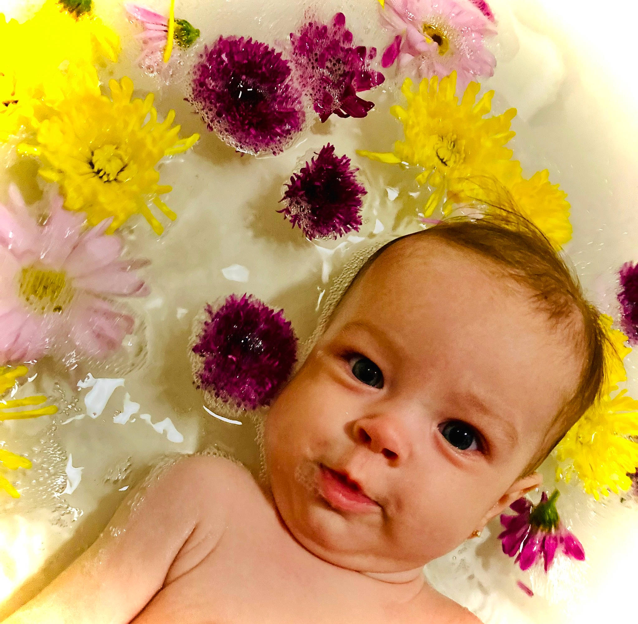 Alice joined the competition — help win amazing prizes! baby, child, costume_hat, cut_flowers, event, eyelash, fashion_accessory, flower, hair_accessory, happy, headband, headgear, headpiece, magenta, person, petal, pink, plant, product, toddler