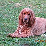 DUNCK participe au concours pour gagner de l'argent avec cette photo :