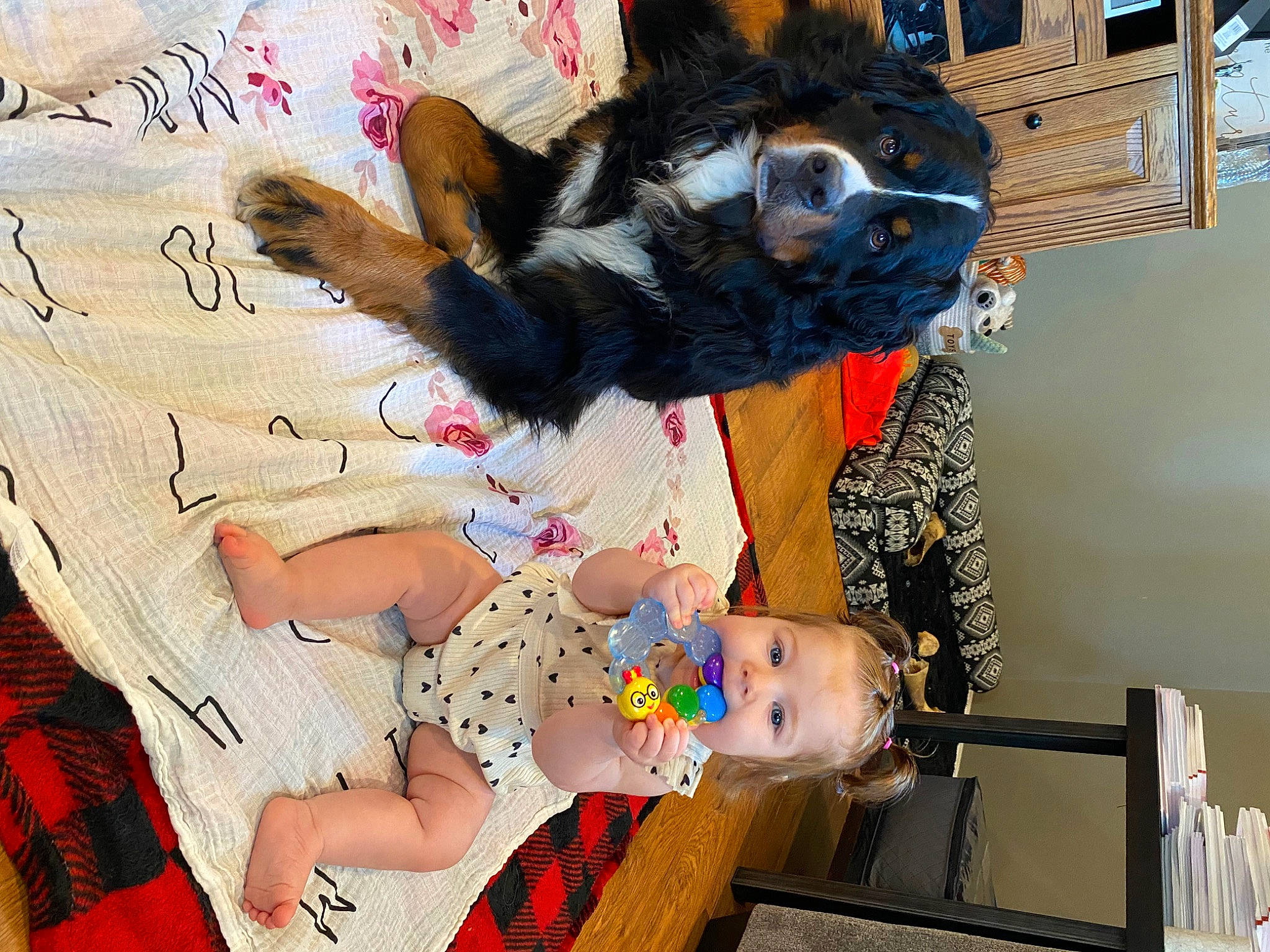 Cecilia joined the competition — help win amazing prizes! baby, baby_toddler_clothing, child, companion_dog, costume, dog_breed, event, fun, fur, gesture, handwriting, happy, linens, pattern, person, plush, room, snapshot, toddler