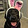 Winnie