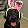 Winnie
