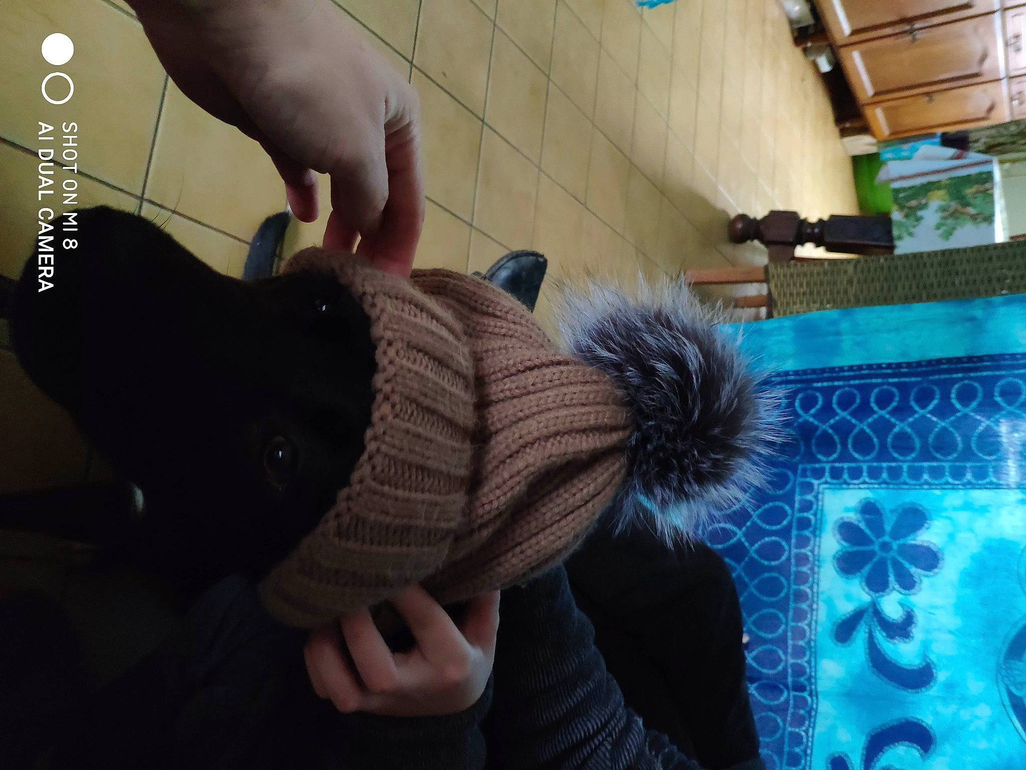 Rita a rejoint le concours — aidez-le/la à gagner de superbes lots ! black_hair, cool, elbow, electric_blue, fashion_accessory, flooring, gesture, human_leg, joint, magenta, mammal, neck, pattern, shoulder, street_fashion, thumb, vertebrate, wool, woolen, wrist