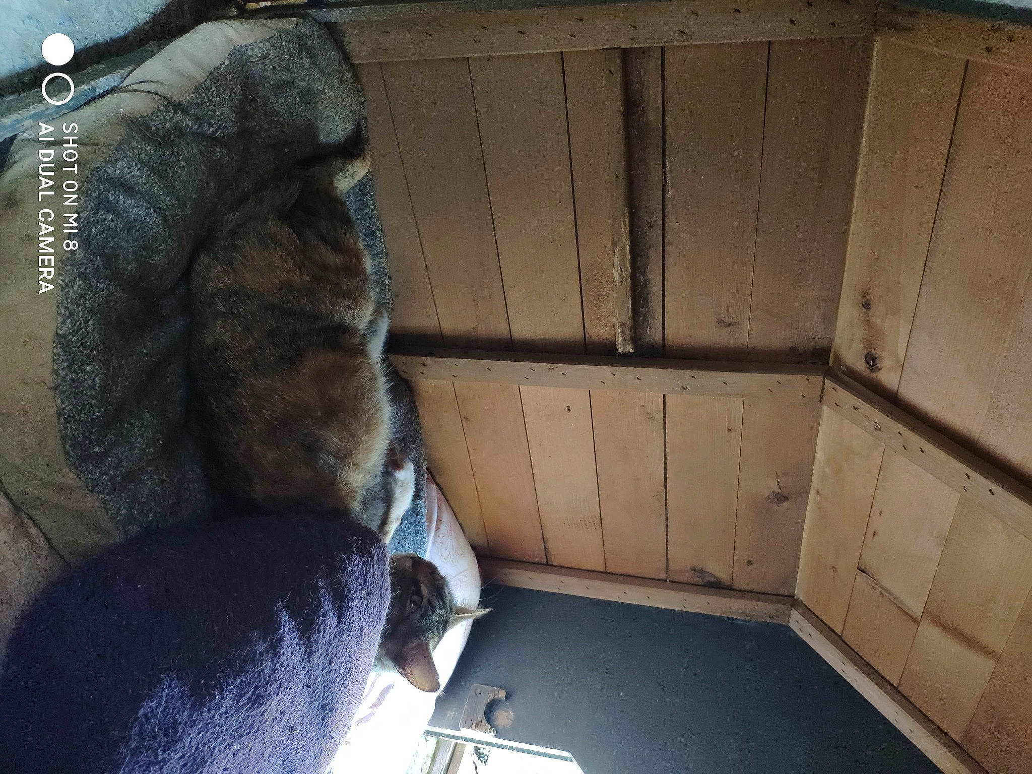 Bébés participe au concours pour gagner de l'argent avec cette photo : auto_part, automotive_design, automotive_exterior, car_seat, denim, eyewear, family_car, fashion_accessory, fur, human_leg, luxury_vehicle, metal, motor_vehicle, room, sitting, tints_and_shades, vehicle, vehicle_door, wood