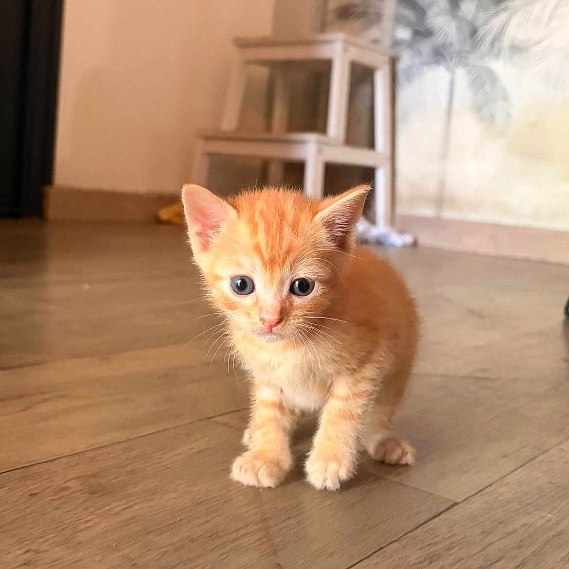 Tyson